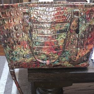Mid size Brahmin (Multicolor)